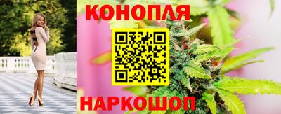 мяу мяу мука Кингисепп