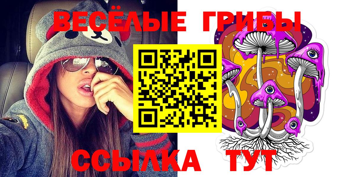Псилоцибиновые грибы прущие грибы Кувандык