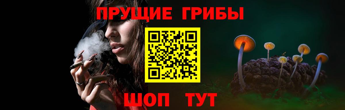 Галлюциногенные грибы Psilocybe  Вход с VPN  Кувандык 